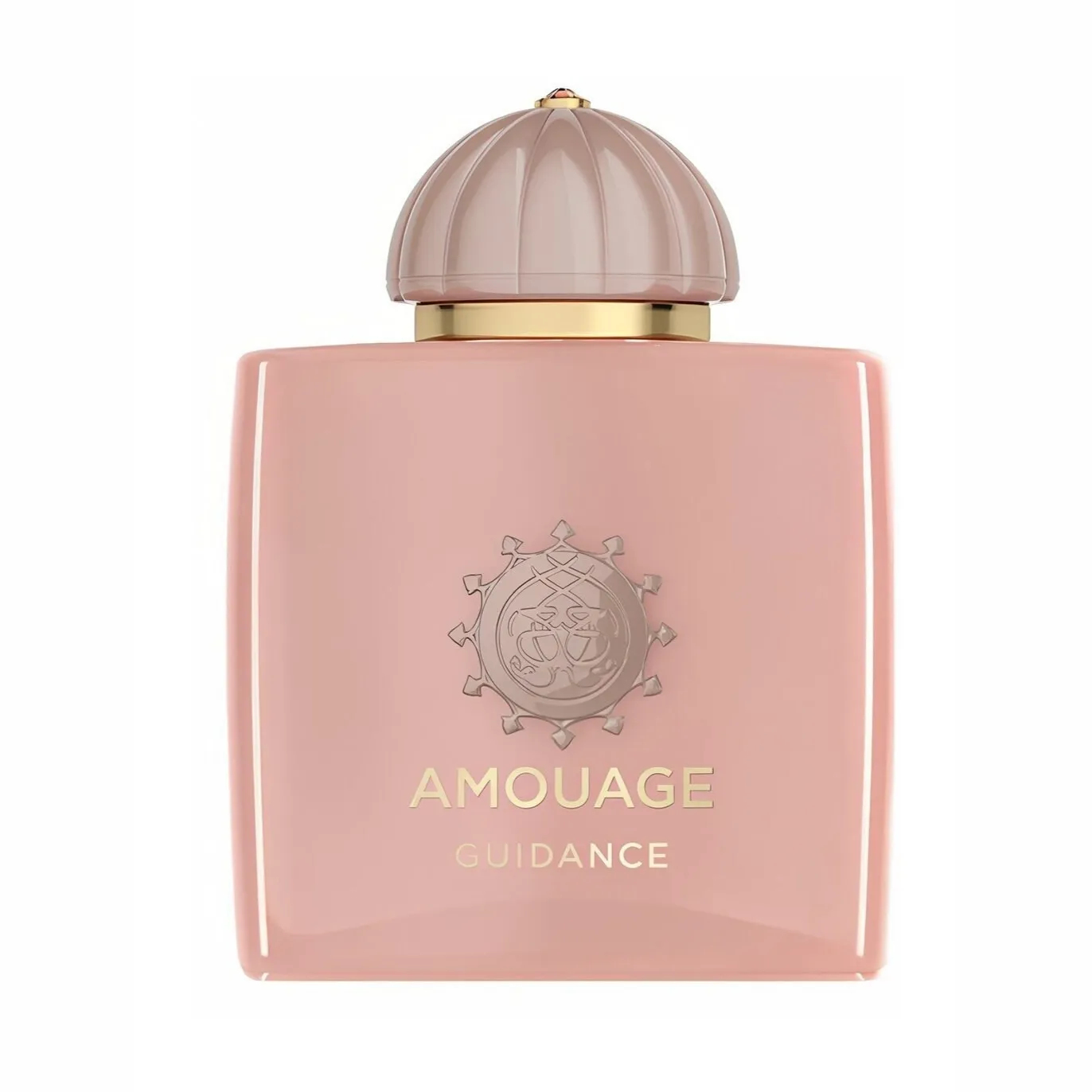 amouage-guidance
